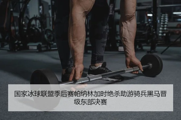 国家冰球联盟季后赛帕纳林加时绝杀助游骑兵黑马晋级东部决赛
